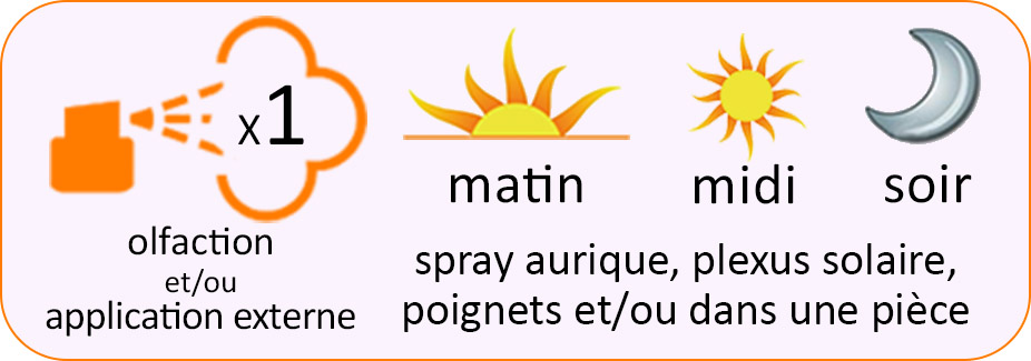 Spray Aurique Purification - Essence 50ml